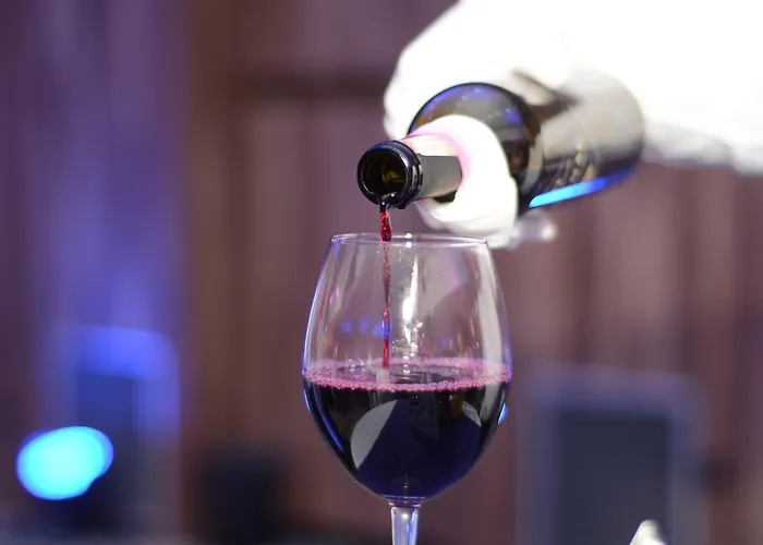 Hills Sarajevo Congress & Thermal 5*